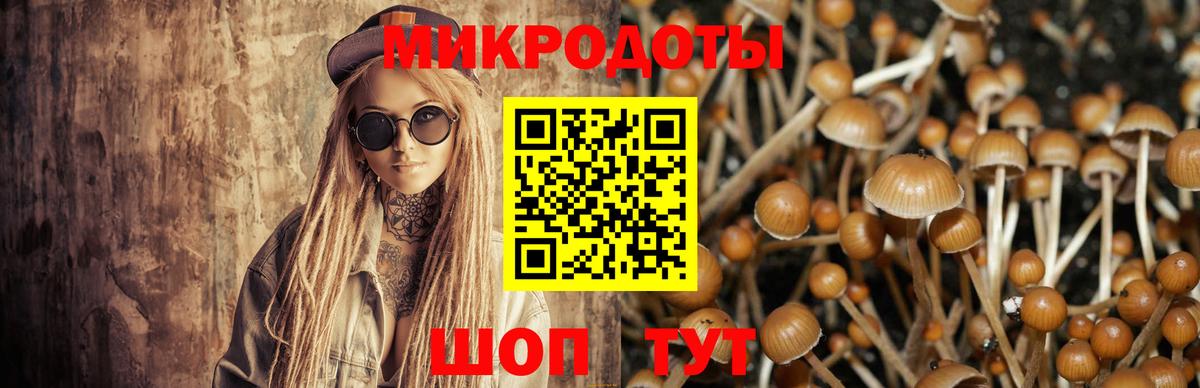 Псилоцибиновые грибы Magic Shrooms  Вход с VPN  Псилоцибиновые грибы мухоморы  Тимашёвск 